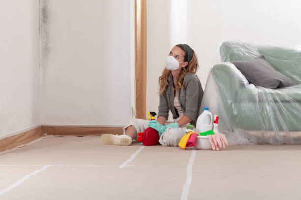 Reliable Black Mold Removal contractor in Millersville, TN by WQB Mold Removal